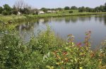 Bloomingdale Park District