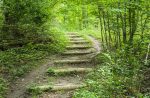 Parks and Trails
