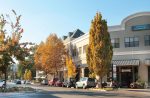 Doing Business in Healdsburg