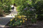Fun Things to Do in Lombard