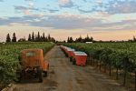Places to Live in Lodi
