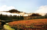 Things to Do in Healdsburg