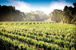 Lodi California Welcome