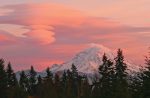 Orting Community