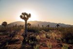 Things to Do in Apple Valley