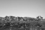 History of Apple Valley