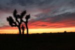 Recreation in Apple Valley