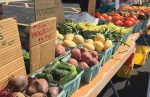 Events and Festivals in Morton Grove