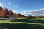 Elgin Area Chamber of Commerce