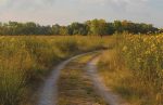 Forest Preserves of Cook County