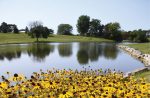 Lake County Family Services