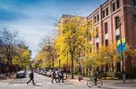 Neighborhood Associations