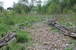 The Dunning Read Conservation Area