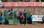 Things to Do in Wickenburg