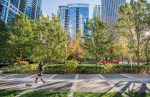 New Eastside Community Today and Beyond