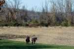 Village of Sleepy Hollow