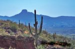 Welcome to Wickenburg