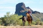 Wickenburg at a Glance