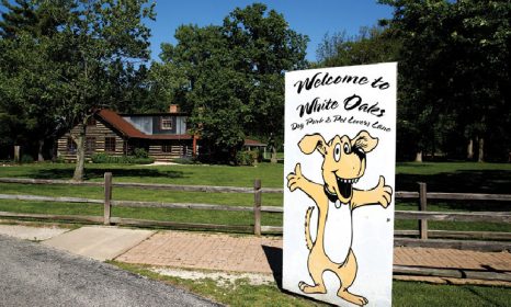 Community Events in Wood Dale IL