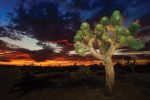 Things to do in Palmdale