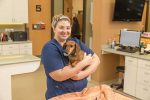 Caring for Our Pets