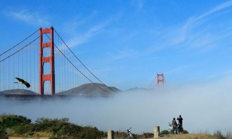 Must Sees in San Francisco