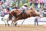 The Clovis Rodeo