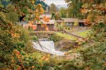 Thurston County Statistical Profile